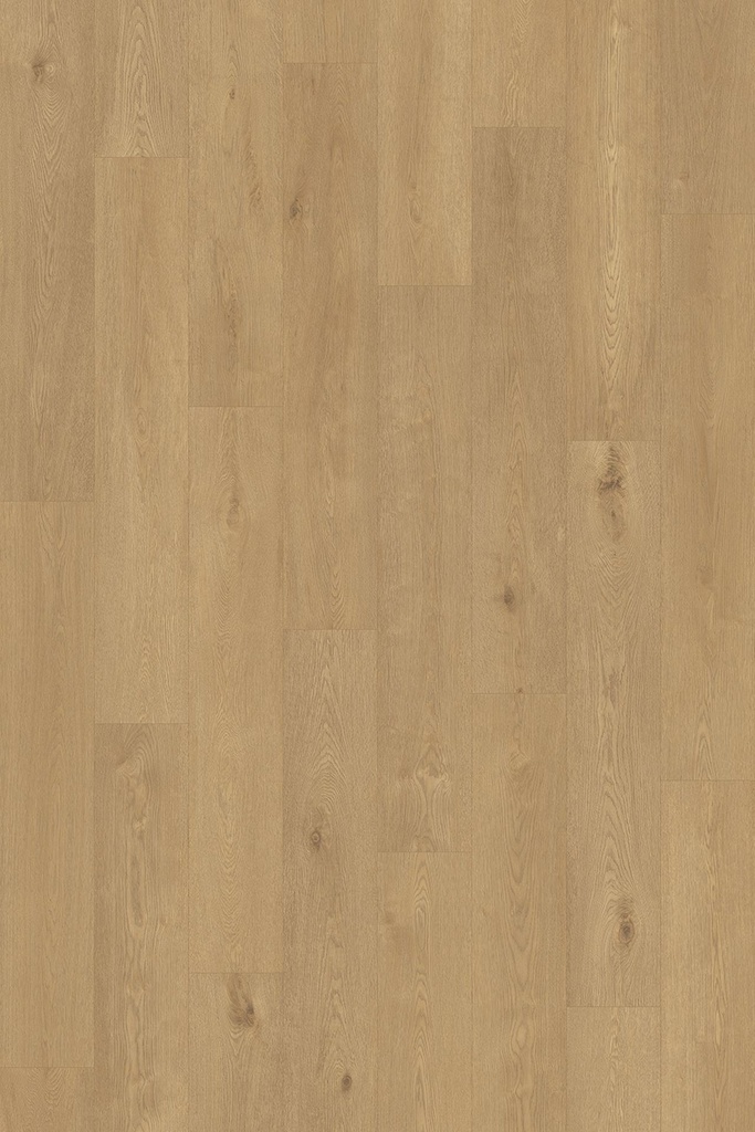 [01134-000723] Vinywood 13 Plank / 723 / Hout Lichtbruin
