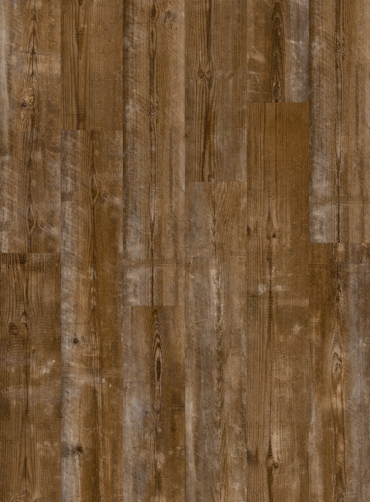 Quick-Step Bloom Schemering den Plank XL Click