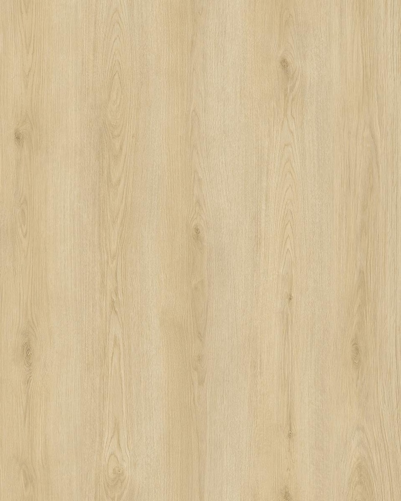 Hoomline City Dryback Apeldoorn 6045