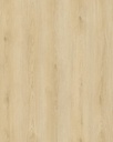 Hoomline City Dryback Apeldoorn 6045