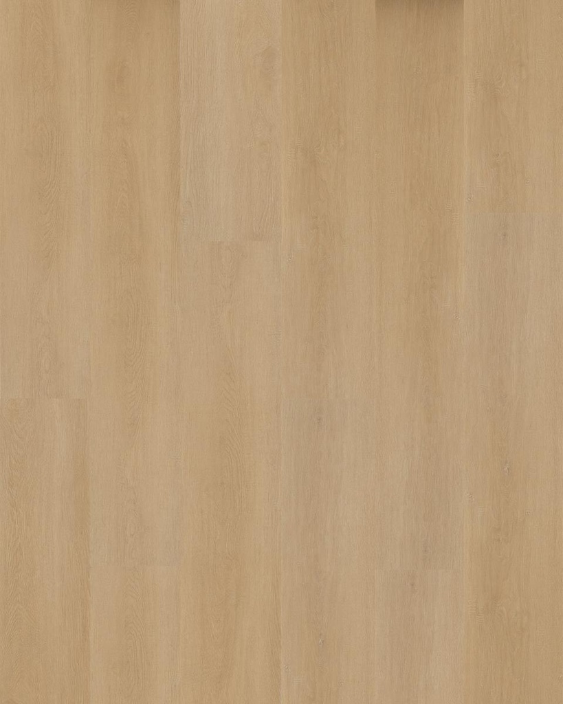 Hoomline Prestige Dryback plank Cannes 5052