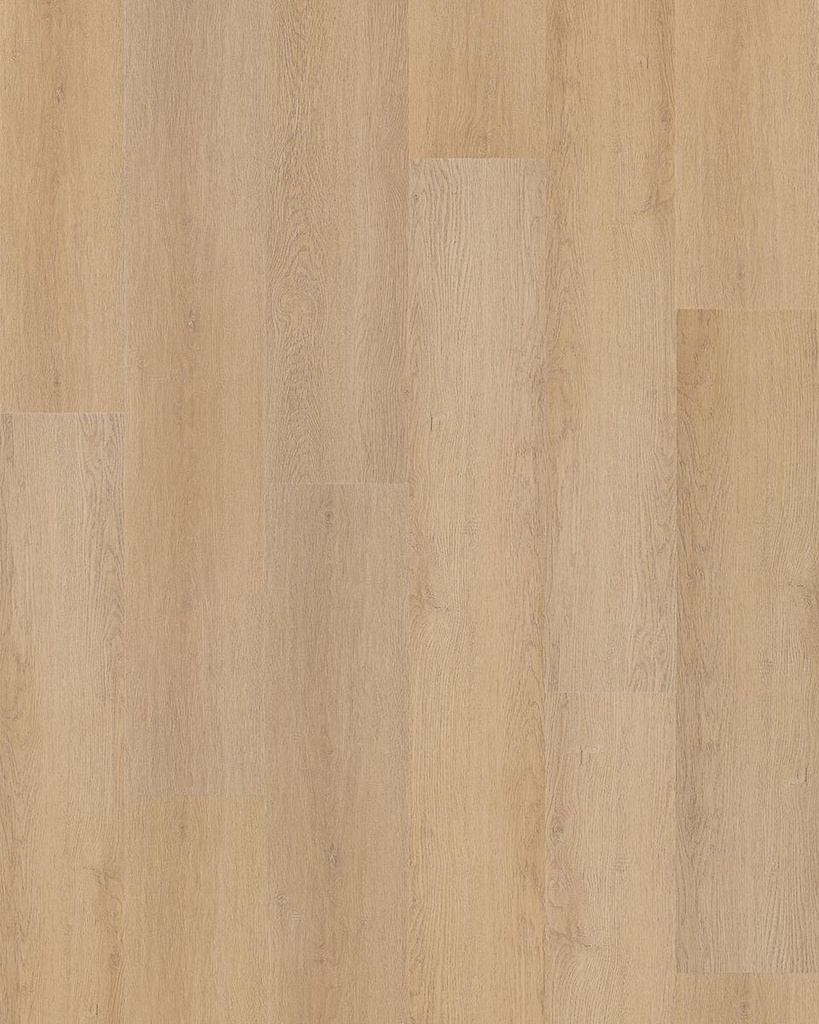 Hoomline Prestige Dryback plank Monaco 5066