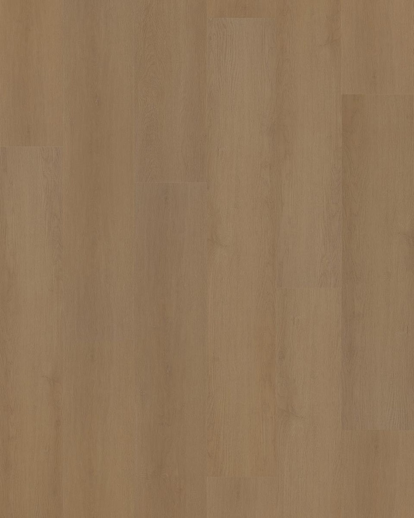 Hoomline Prestige Dryback plank Nice 5053