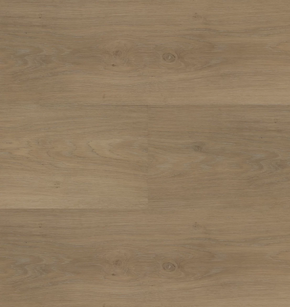 Hebeta Chapelle 54841 Plank XL Dryback