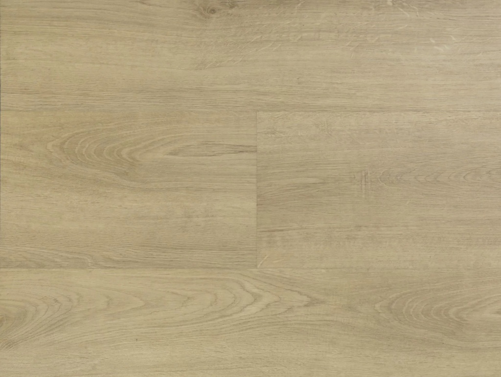 Hebeta Clermont 54820 Plank XL Dryback