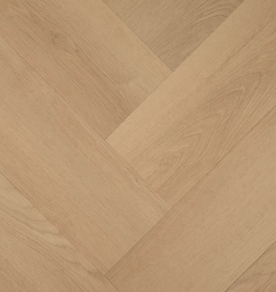 Hebeta Clermont 57821 Visgraat Click