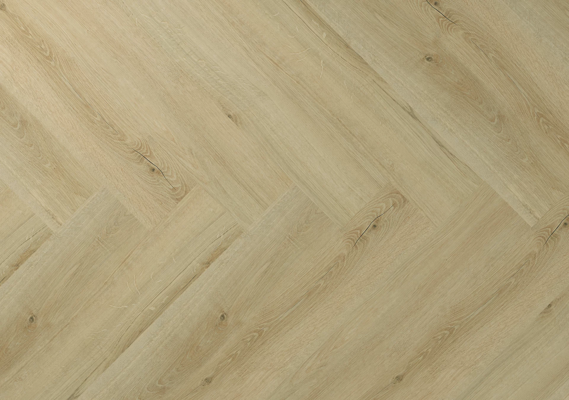 Hebeta Clermont 77820 Visgraat Dryback