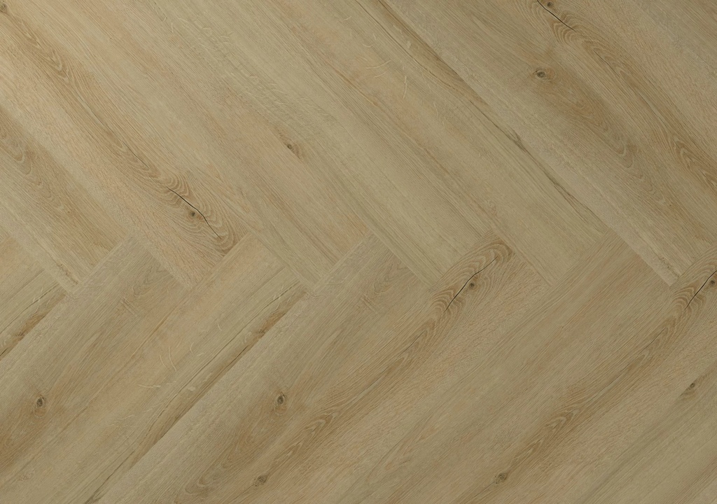 Hebeta Clermont 77822 Visgraat Dryback
