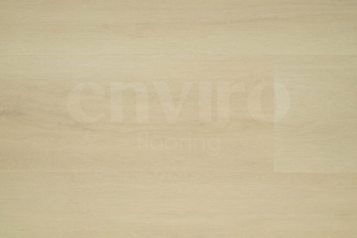 [0000555013305] 001 PLANK CLICK SPC