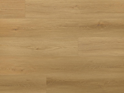 [5905167861417] MENOR SPC PLANK ARBITON