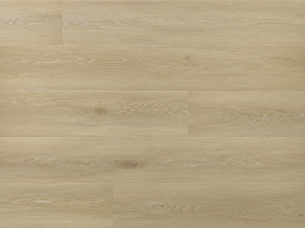 JOHANNES SPC PLANK ARBITON