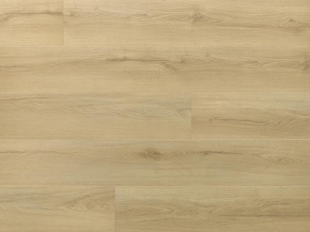 PRINCETON SPC PLANK ARBITON
