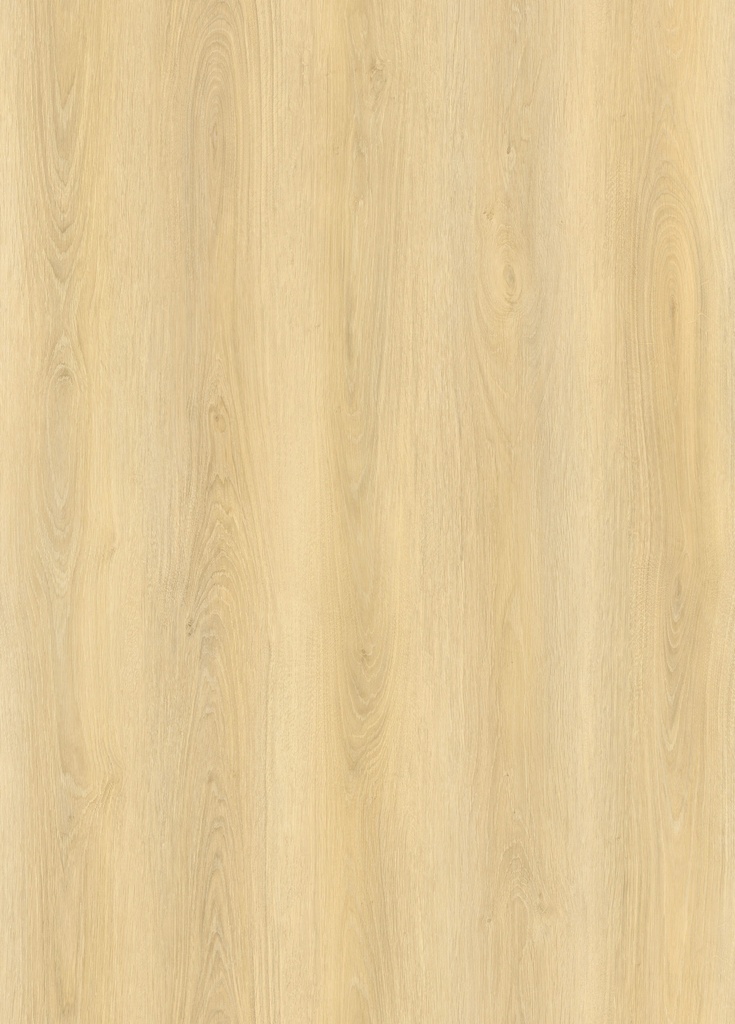 WB V-FLOOR LP01 LVT DRYBACK PLANK