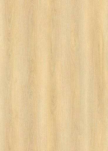 [6097027351349] WB V-FLOOR LP01 LVT DRYBACK PLANK