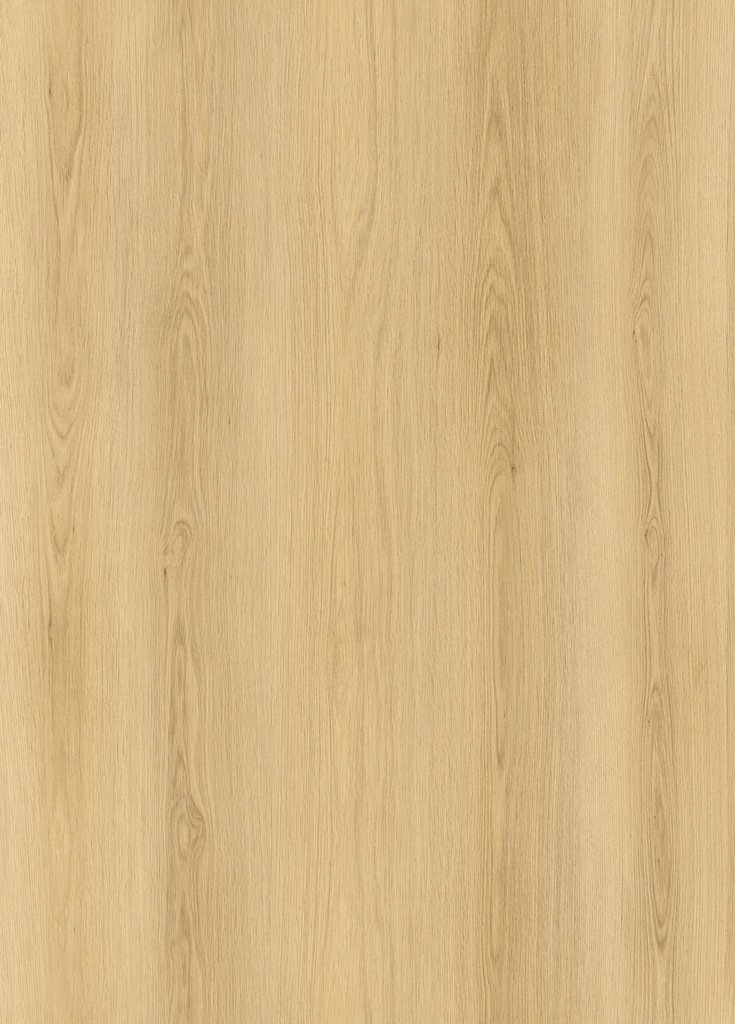 WB V-FLOOR LP02 LVT DRYBACK PLANK