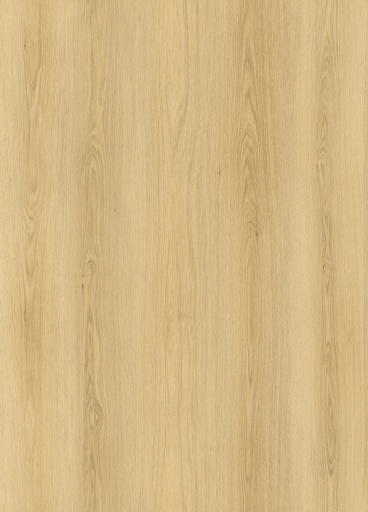 [6097045094006] WB V-FLOOR LP02 LVT DRYBACK PLANK